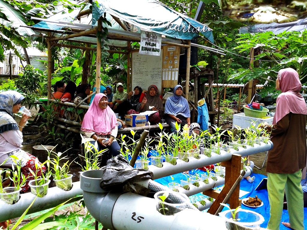 Rumah Literasi Hijau Activity 1