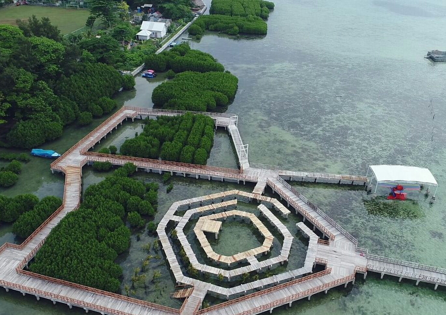 Labirin Hutan Mangrove